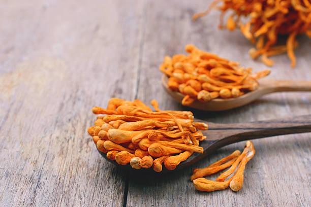 Energize Your Life with Cordyceps: Boosting Performance and Vitality Naturally