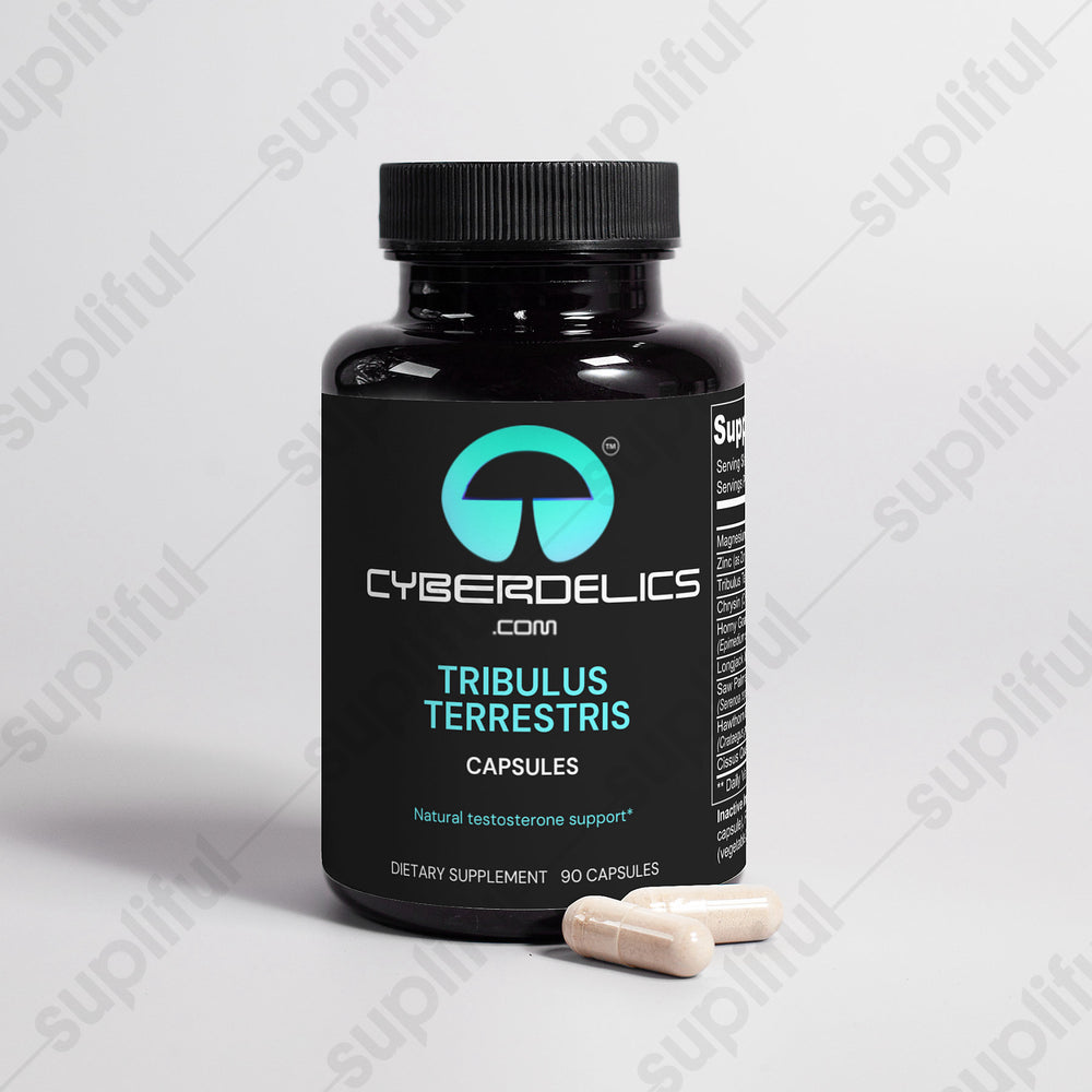 
                  
                    Testosterone Booster
                  
                